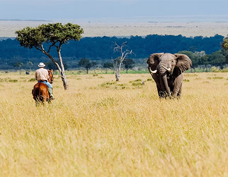 4-days-tarangire-serengeti-ngorongoro-budget-tour