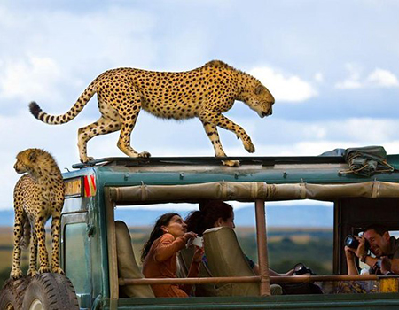 3-days-masai-mara-lodge-safari