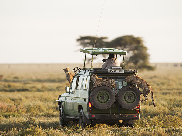 3-days-serengeti-ngorongoro-budget-tour