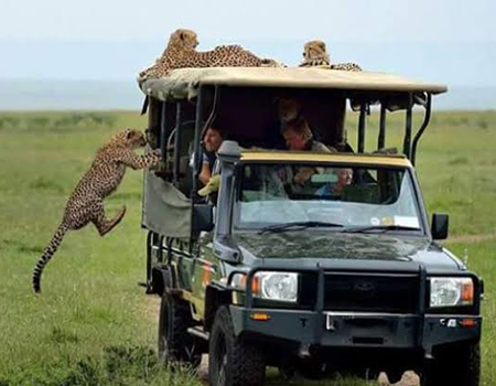 4-days-masai-mara-lake-nakuru-lodge-safari