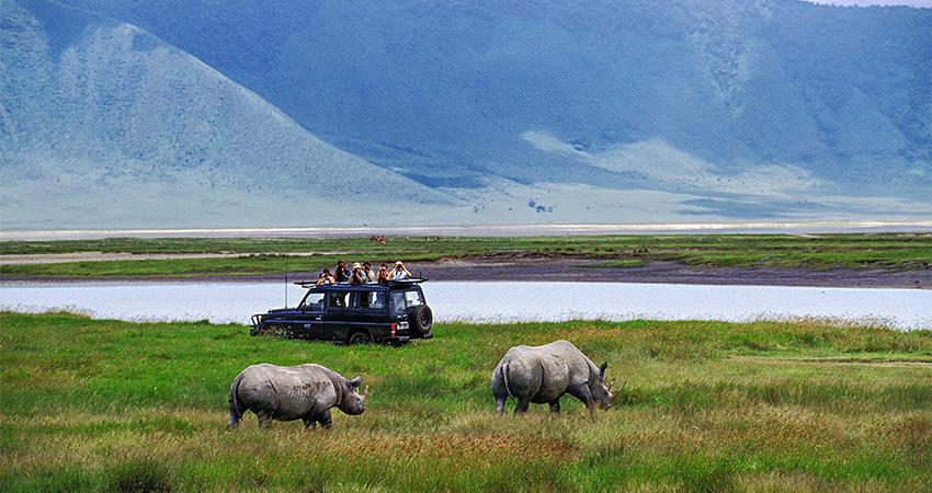 5-days-lake-manyara-ngorongoro-serengeti-camping-safari