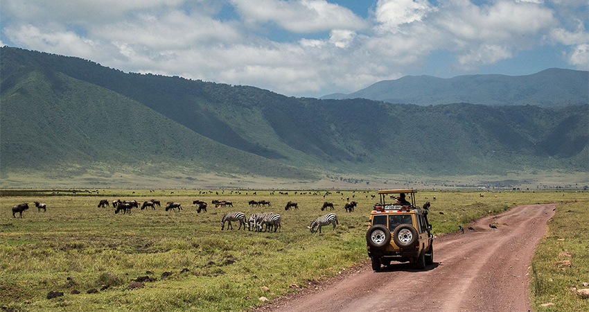 5-days-lake-manyara-ngorongoro-serengeti-lodge-safari