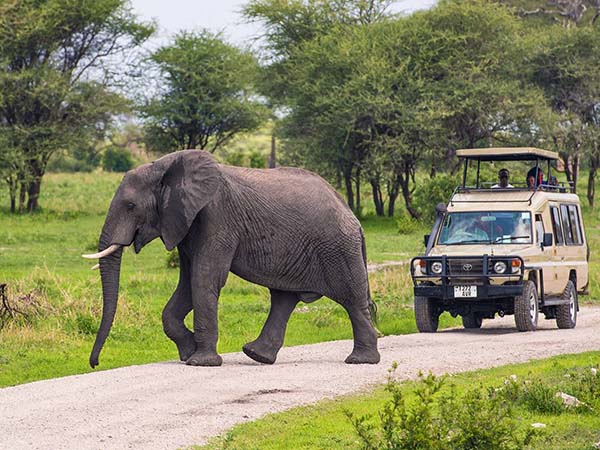 6-days-lake-manyara-ngorongoro-serengeti-lodge-safari