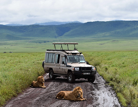 6-days-lake-manyara-ngorongoro-serengeti-lodge-safari
