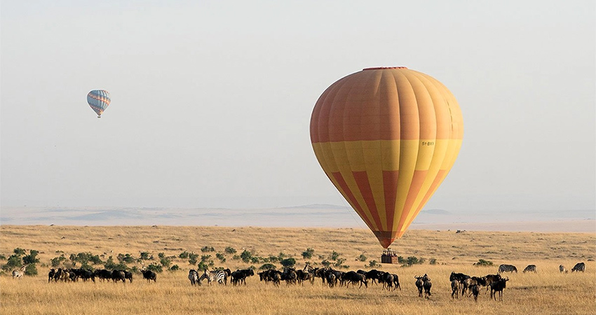 7-days-masai-mara-l-naivasha-l-nakuru-amboseli-camping-safari