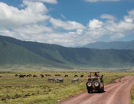 8-days-masai-mara-lake-manyara-ngorongoro-lodge-safari