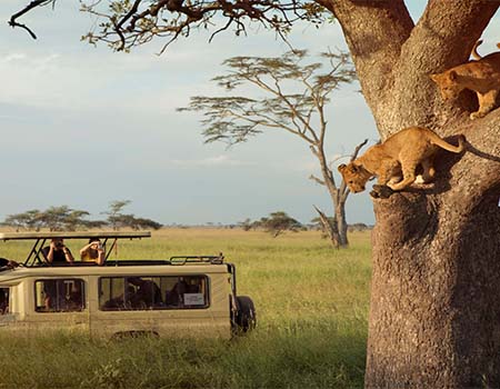 9-days-masai-mara-ngorongoro-serengeti-camping-safari