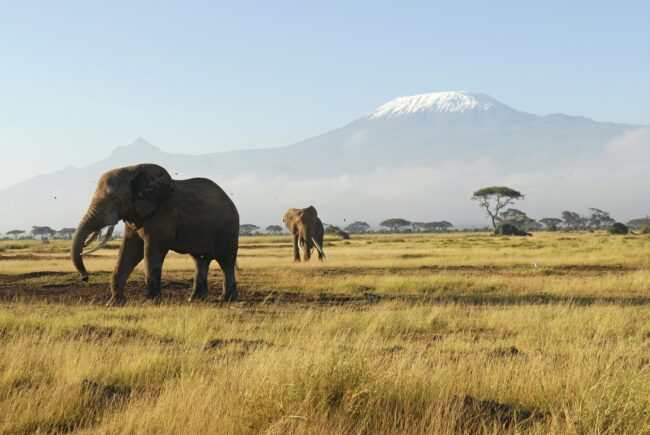 amboseli-national-park